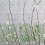 Ramo di salice artificiale 130,00 g 90 cm Bianco 7