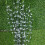 Ramo di salice artificiale 130,00 g 90 cm Bianco 5