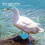 1 paire de chaussures de protection Duck taille M bleu étanche 4
