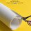 10 pièces ruban adhésif anti-griffe pour chat 30x45 cm transparent 8