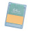 Carte mémoire V1.966 64 Mo Boîtier bleu transparent 15