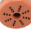 Mini-Tischstaubsauger 9  8,8 cm ABS 150 g 8