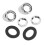 Kit cornice del tergicristallo cromato ABS 519988Z per Mini MKI 10