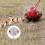 Large Capacity Rolling Nut Picker for Walnuts & Peanuts Compact & Portable 5