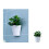 Macetero de pared semicircular 8x16,3x14,7 cm, 130 g 10