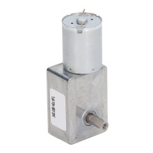 Dual Shaft DC Worm Gear Motor 12V 25kg.cm 40RPM Reversible