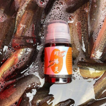 Shrimp and Eel Fishing Bait Additive Professional Universal Fish Lure Enhancer