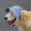 (M, Bean Paste Green) Pet Hat for Small Medium Large Dogs Breathable Lightweight Dog Hat for Small Medium Large Dogs 3