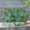Artificial Hedges Fence 200x28cm Sun Waterproof Garden Topiary 5