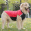 (L,Reddish Black)Warm Pullover Dog Jacket Versatile Stylish Comfort Dog Clothes for Daily Wear 3