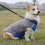 (2XL,Reddish Black)Warm Pullover Dog Jacket Versatile Stylish Comfort Dog Clothes for Daily Wear 3
