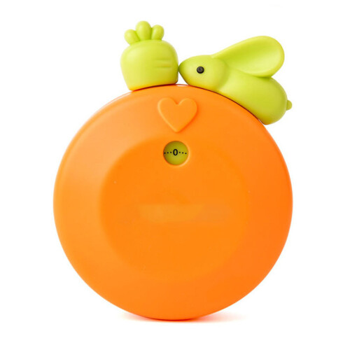 Adsorption Typ Küchentimer orange 100,00 g 2