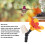 DIY-Kolibri-Futterspender ABS-Flasche, Einzelblüte 4