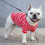 Camisetas para perros de algodón transpirable a rayas talla XL 6