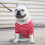 Camisetas para perros de algodón transpirable a rayas talla XL 4