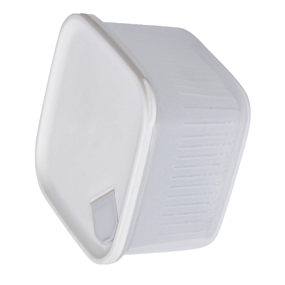 Mini Fridge Scallion Box - Plastic, 12x7.5cm, Draining, Multi-Functional-image-OPC-PJDVC6J-NEW