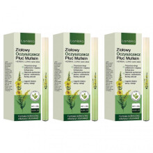 (3pcs)Lung Cleanse with Herbal Diffuser Pen
