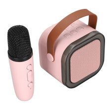 Roseate Macchina Karaoke Portatile 5W BT 64GB