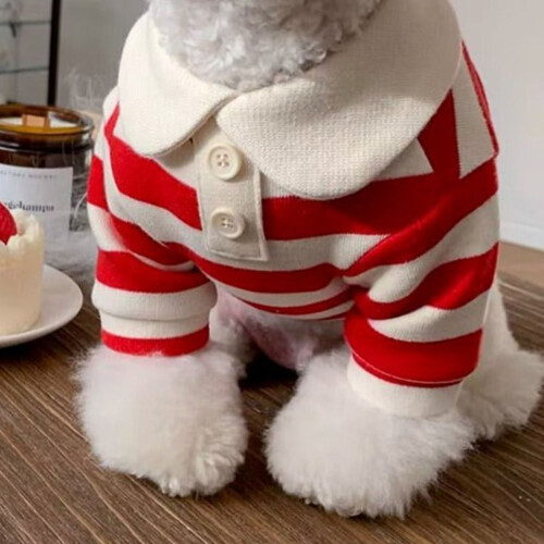 Gestreiftes Hundeshirt aus Polyester, rot, Größe M - Kleine Hunde 2
