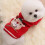 Hund Weihnachtspullover Rot-Elch Größe M Warmes Polyester 3