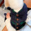 Hund Winterkleidung L blau mit Schal Polyester 9