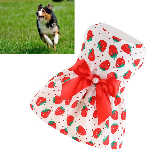 Rotes Erdbeer-Hundekleid L - Prinzessinnenstil
