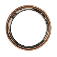 Typ 9 Smart Ring 18 mAh 59 g Silber/Gold IP68