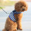 Dog Harness Leash Set Small Adjustable Blue Fabric for Pets 4