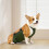 Bande ventrale pour chien verte taille XL - Polyester imperméable 7