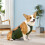Bande ventrale pour chien verte taille XL - Polyester imperméable 15