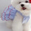 Hunde-Prinzessinnenkleid Größe L Blaues Polyester 10