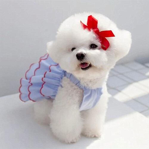 Hunde-Prinzessinnenkleid Größe L Blaues Polyester 2