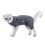 4-Bein Katzen-Recovery-Anzug elastisch Größe M graues Blumenmuster 2