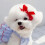 Prinzessin Hundekleid blau S - leichtes Polyester 9