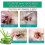 (3pcs)Ear Drops For Pets Dogs Cats Ear Wax Kills Mites Mite Clear 4