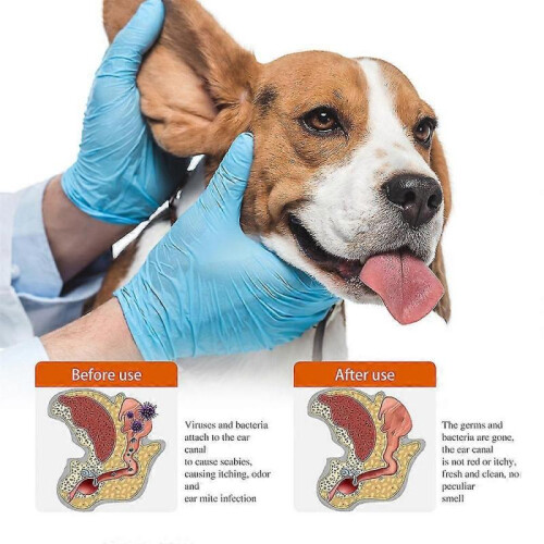 (3pcs)Ear Drops For Pets Dogs Cats Ear Wax Kills Mites Mite Clear 2