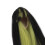Parrucche per bambole a giunto sferico 1/4, bi-colore nero/verde 10