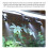 Reptile Misting System with Timer, 2 Sprinkler Heads, 5m Length 5