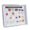 Kit de colección de rocas minerales Set 2 estuche transparente 10