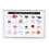 Kit de colección de rocas minerales Set 2 estuche transparente 14