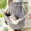 Tablier porte-chat, réglable, sling pour petit animal 6