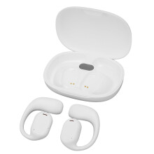 Drahtlose Übersetzer-Ohrhörer Bluetooth 5.3 Übersetzungs-Ohrhörer 74 Sprachen 70 Akzente Übersetzungsgerät mit APP für Musik und Anrufe