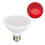 Lampada di bellezza LED infrarossa E27 5W 93x93mm 85-265V 6