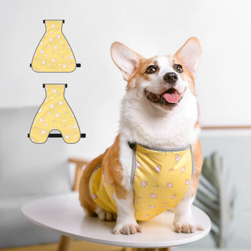 Gilet chaud pour ventre de corgi protection étanche M