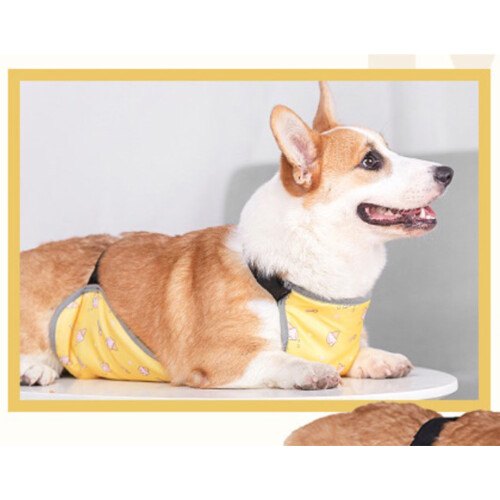 Gilet chaud pour ventre de corgi protection étanche M 2