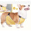 Gilet chaud pour ventre de corgi protection étanche M 5