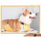 Wasserdichte Corgi Bauchschutzweste L Polyester 4