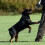 2 piezas de botas para perros impermeables de goma para patas M 5