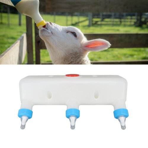 3-Liter-Lamm-Teat-Fütterer, 3 Nippel, Kunststoff-Silikon 2