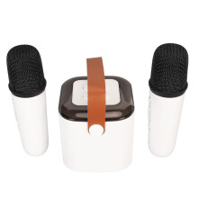 Mini Karaoke Maschine Stereo Tragbar RGB Licht Bluetooth Lautsprecher mit 2 kabellosen Mikrofonen für Zuhause Party Weiß